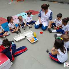 jun2023-pioxi-plantacao9