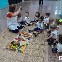 pioxi-redebeneditina-2