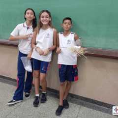 pioxi-redebeneditina-17