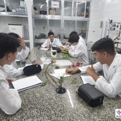 2024-reproducao-plantas-pioxi-1