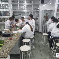 2024-reproducao-plantas-pioxi-2