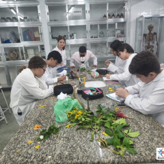 2024-reproducao-plantas-pioxi-3