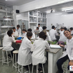 2024-reproducao-plantas-pioxi-4