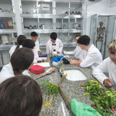 2024-reproducao-plantas-pioxi-6