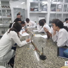 2024-reproducao-plantas-pioxi-7