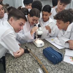 2024-reproducao-plantas-pioxi-8
