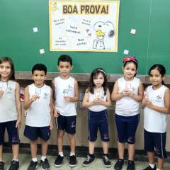 2025-2ano-instituto-pio-xi-6