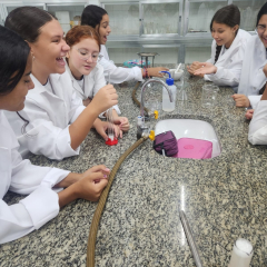 2025-laboratorio-7ano-instituto-pio-xi-1