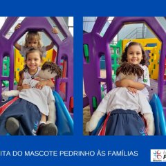 2023-mascote-pioxi-5