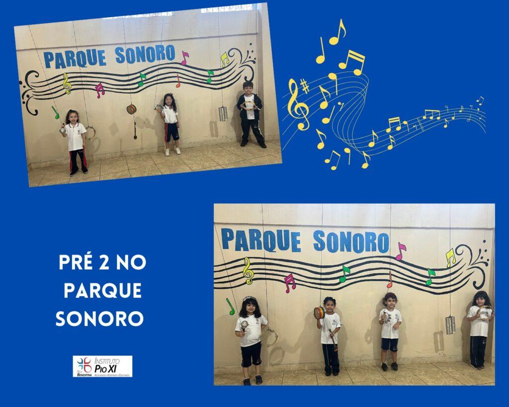 parque-sonoro-pioxi (1)