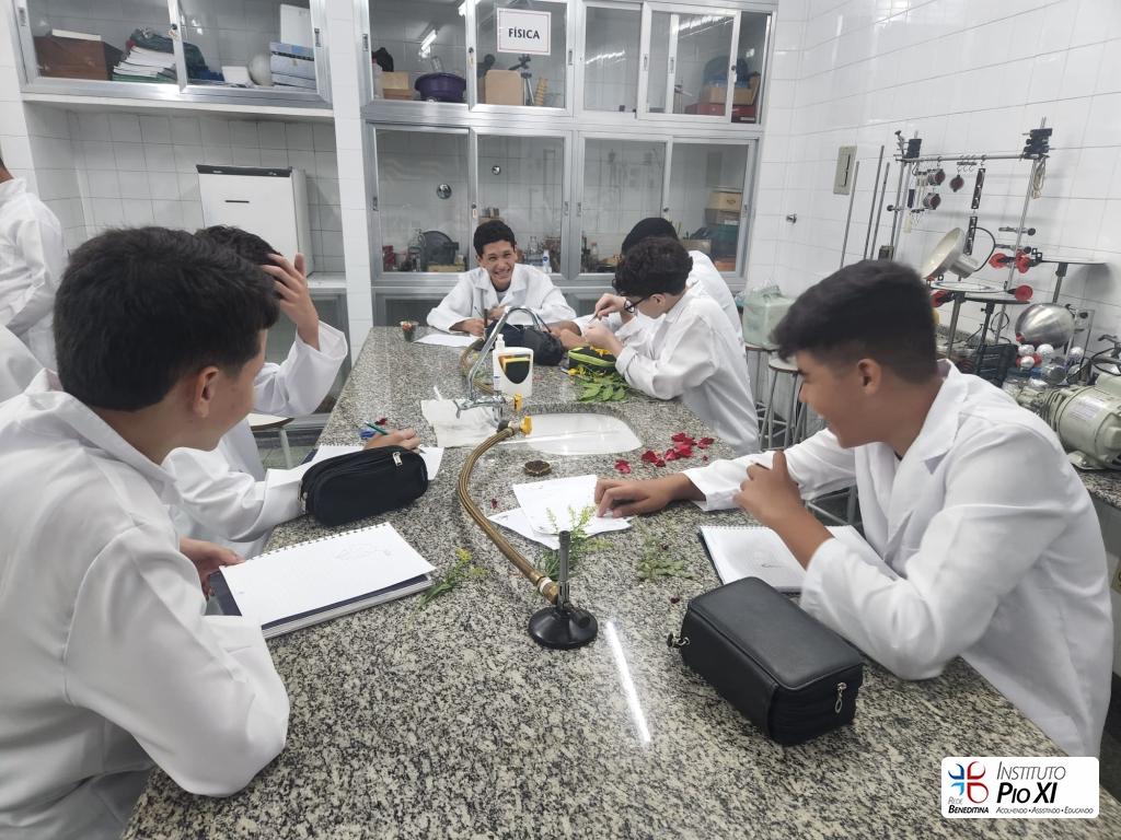 2024-reproducao-plantas-pioxi-1