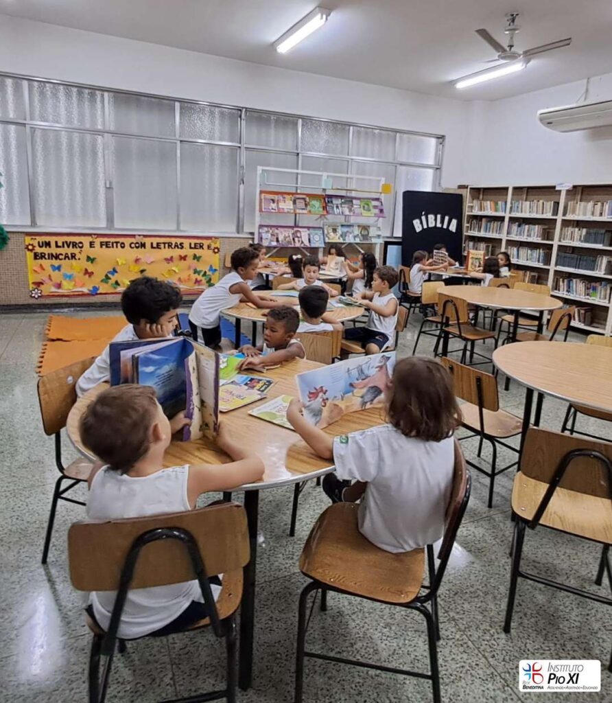 2025-biblioteca-instituto-pio-xi-1