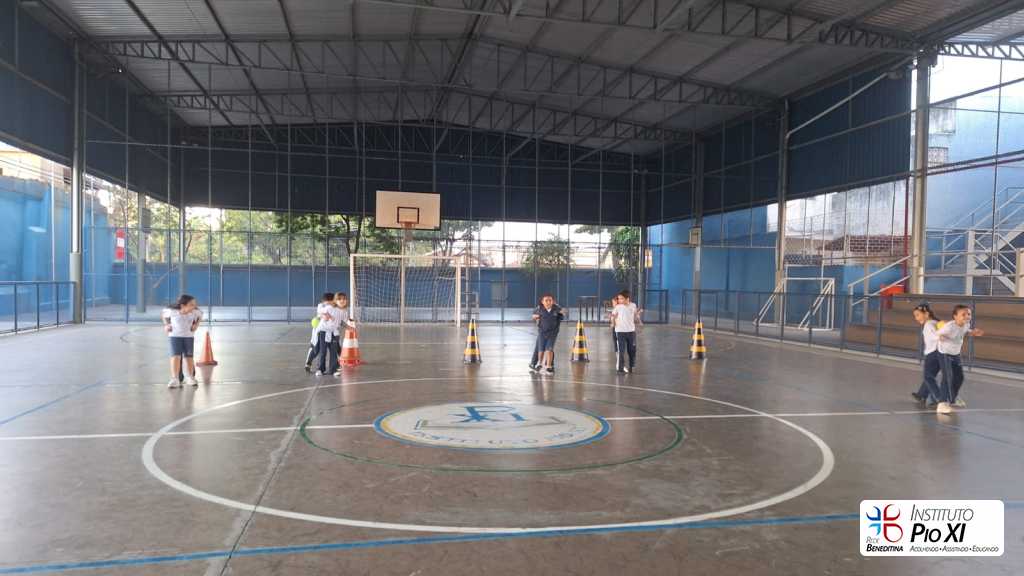 2025-1ano-instituto-pioxi-ramos-1