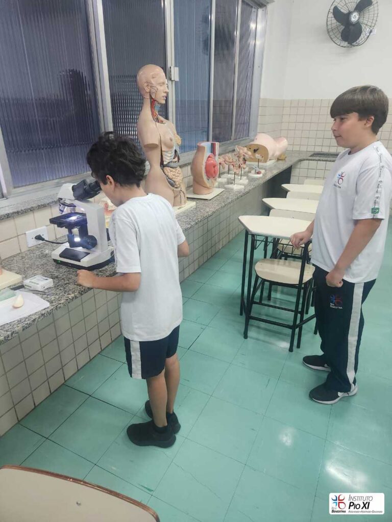 2025-laboratorio-instituto-pioxi-ramos-5