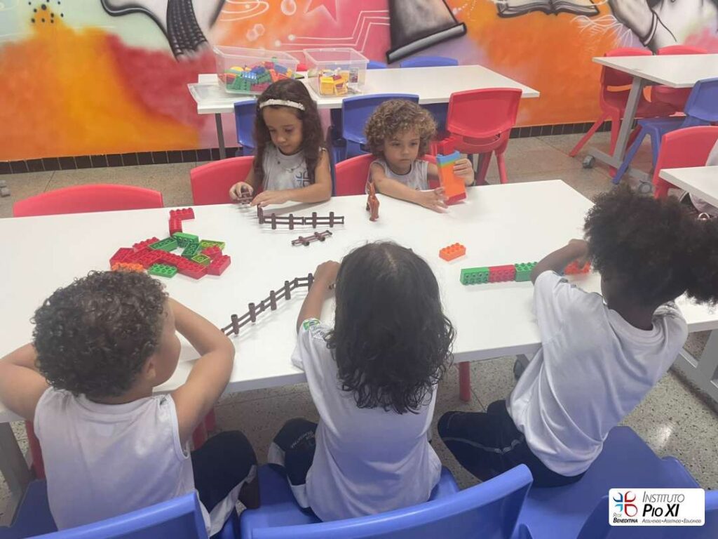 2026-pre1-instituto-pioxi-ramos-rj-6