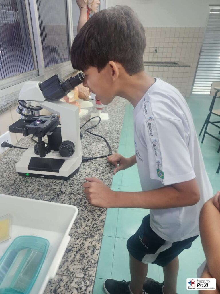 2026-6ano-instituto-pioxi-ramos-rj-7