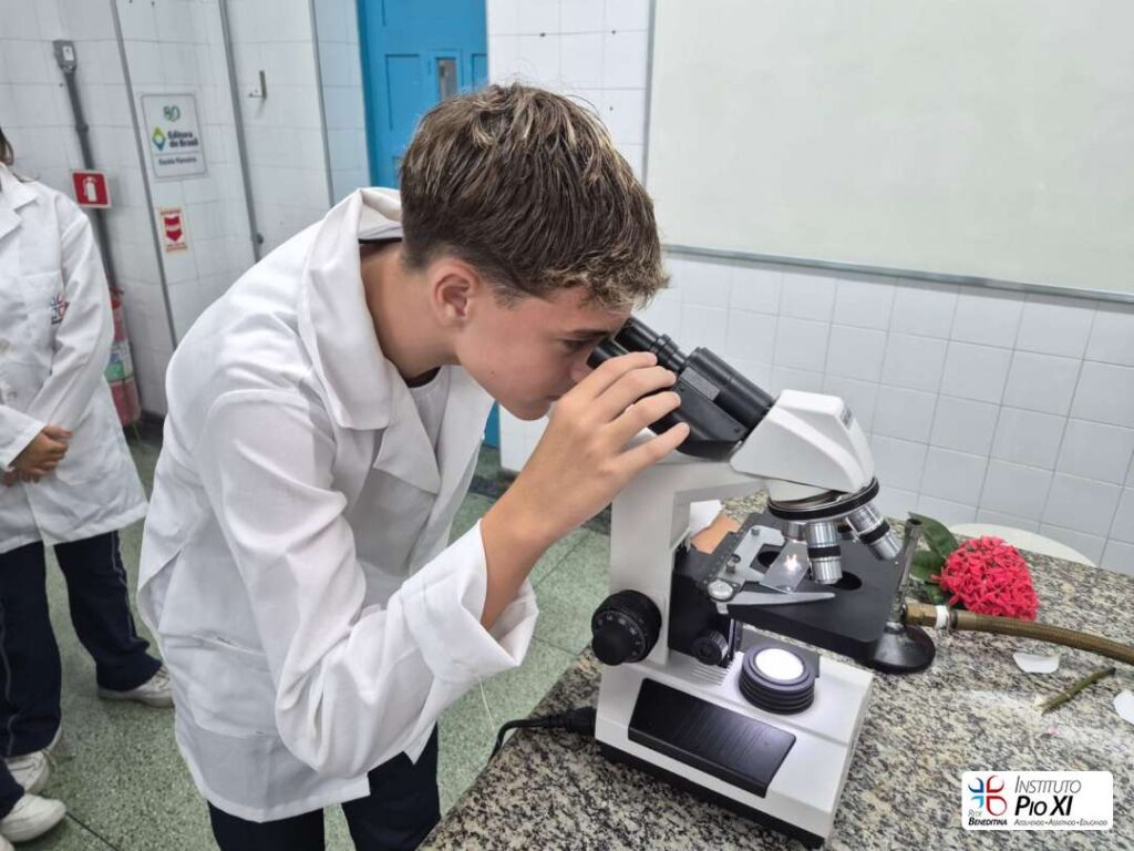 2026-8ano-instituto-pioxi-ramos-rj-3