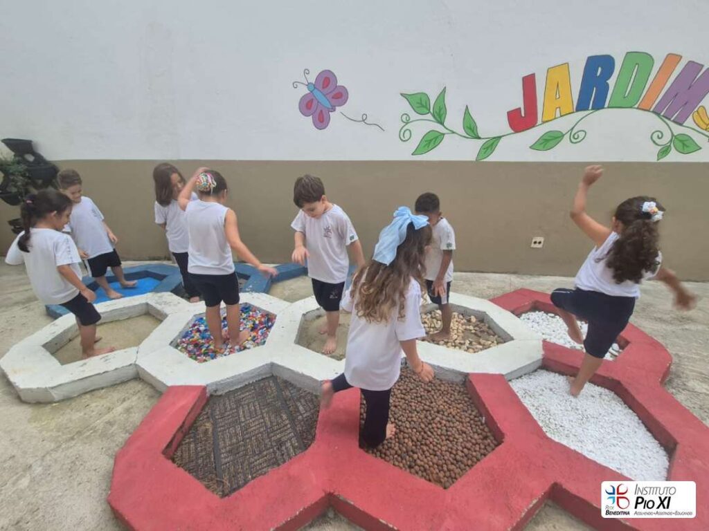 2026-pre2-instituto-pioxi-ramos-rj-1