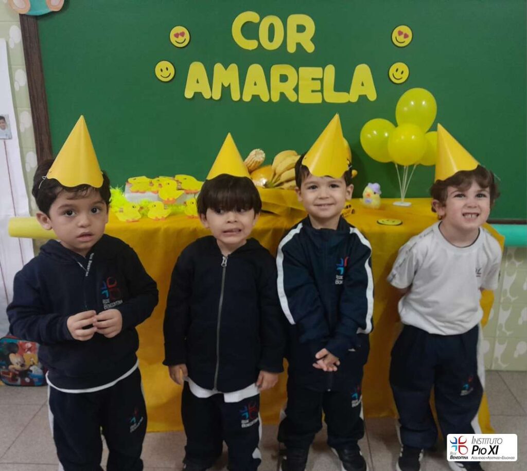 2026-maternal-instituto-pioxi-ramos-rj-1