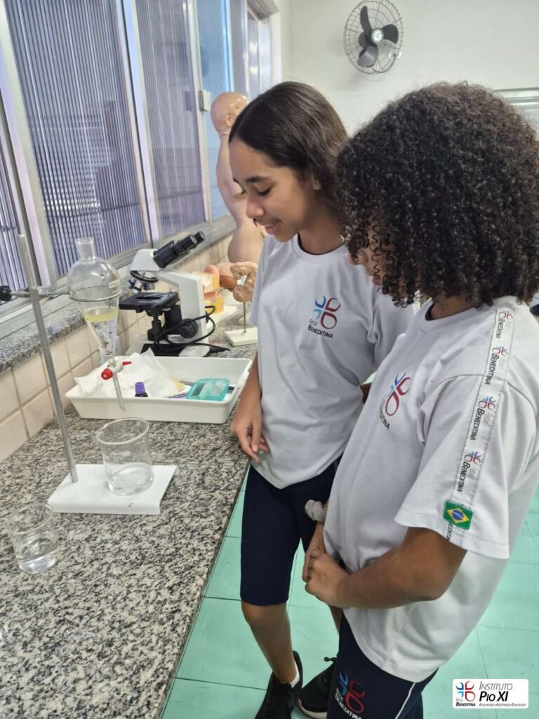 2026-6-ano-laboratorio-instituto-pioxi-ramos-6