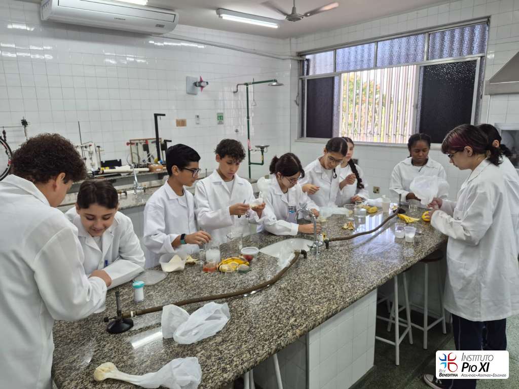 2026-8-ano-laboratorio-instituto-pioxi-ramos-5